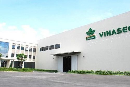 Lợi nhuận quý III giảm gần một nửa, thu nhập lãnh đạo Vinaseed thụt lùi
