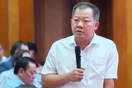 Chuyên gia nói gì về việc lấy ý kiến trẻ em về Luật hiến mô, tạng?