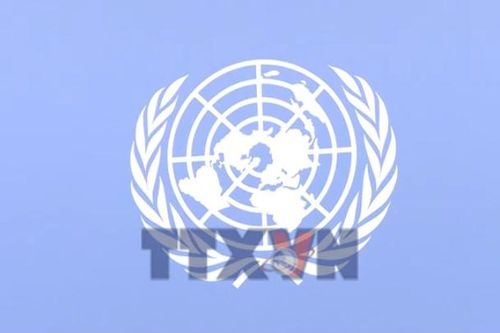 Việt Nam và LHQ tăng cường hợp tác về thông tin, truyền thông và quản trị số