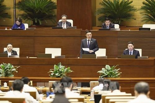 Bảo vệ quyền lợi người tiêu dùng trên môi trường số