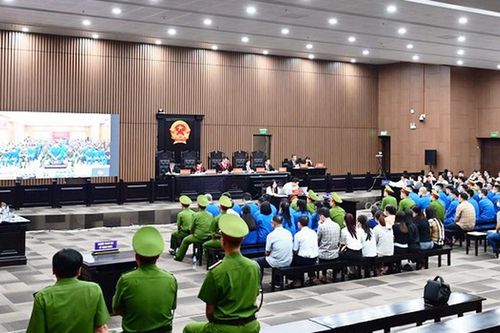 Mất 3 tỷ đồng trong vụ Mr Pips: Người phụ nữ ngã quỵ vì quá uất ức