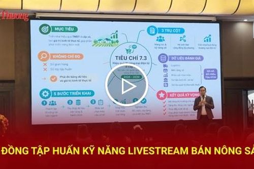 Lâm Đồng tập huấn kỹ năng livestream bán hàng nông sản