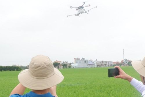 Ứng dụng công nghệ cảm biến, UAV để giảm chi phí trong sản xuất nông nghiệp