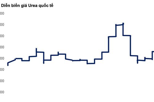 Đề xuất giảm thuế xuất khẩu phân bón về 0%: Doanh nghiệp nào được lợi nhất?