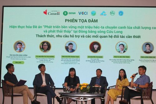 GoRice thúc đẩy chuyển đổi xanh chuỗi giá trị lúa gạo tại Đồng bằng sông Cửu Long