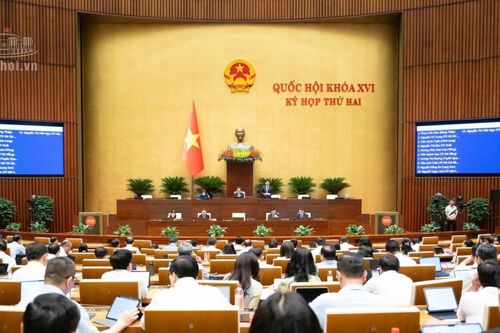 Quốc hội thảo luận sửa luật để bảo vệ thực chất quyền lợi người tiêu dùng