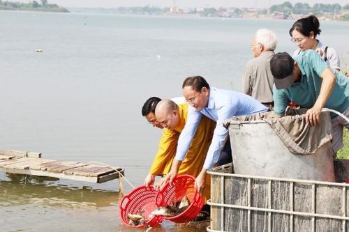 Bắc Ninh tuyên truyền thực hành phóng sinh góp phần bảo vệ đa dạng sinh học