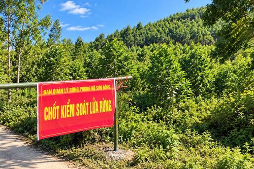 Bắc Ninh: Toàn bộ xã, phường có rừng cảnh báo nguy cơ cháy rừng cấp V