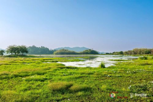 Vườn quốc gia Cát Tiên sẵn sàng cho chương trình Vietnam Wild Live mùa 2 của Đài Truyền hình Việt Nam