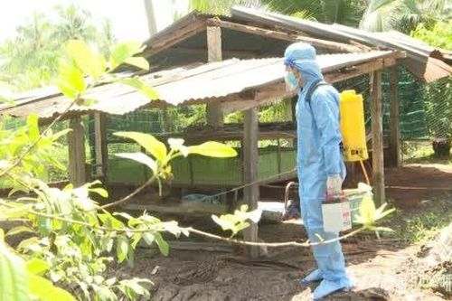 Đồng Tháp: Khẩn trương xử lý ổ dịch cúm gia cầm A/H5N6 tại xã Tân Phú Đông