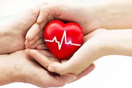 Đồng Tháp chủ động rà soát, giải thích việc lấy ý kiến học sinh về Dự thảo Luật