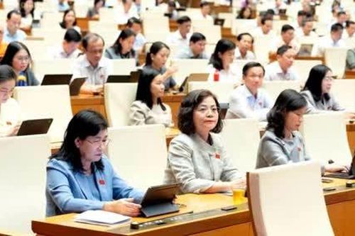 Đại biểu Quốc hội tỉnh Đồng Tháp kiến nghị nhiều vấn đề thiết thực cho các dự án luật