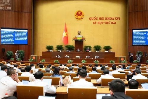 Bảo đảm tính nghiêm minh, nhân văn và khả thi của pháp luật