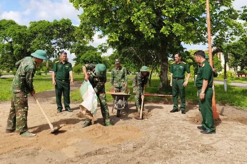Vững bước trưởng thành