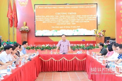 Kiểm tra việc triển khai thực hiện Nghị quyết số 24 tại một số xã khu vực Hữu Lũng, Chi Lăng