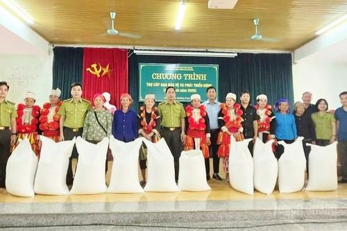 Phát huy hiệu quả chính sách dịch vụ môi trường rừng