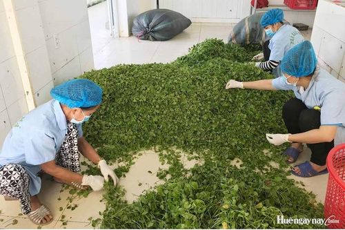 Nâng giá trị, tăng lợi nhuận