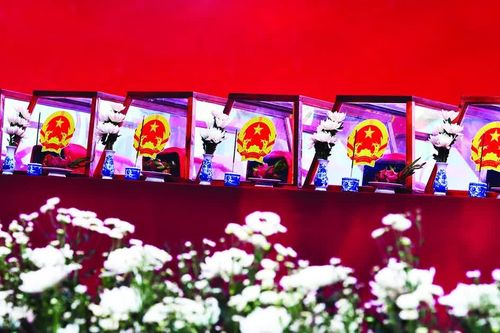 Màu cúc trắng và giọt nước mắt, ngày đón 731 liệt sĩ về với Đất Mẹ