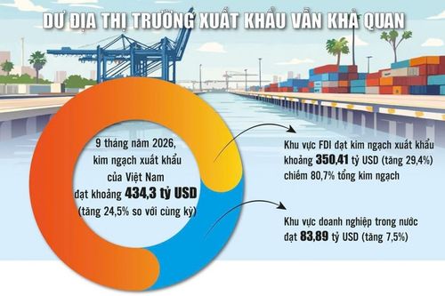Có cơ hội thị trường, doanh nghiệp Việt vì sao vẫn khó kiếm đơn hàng?
