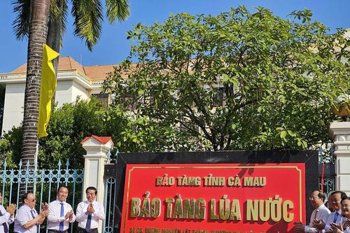 Cà Mau khơi dậy nguồn lực văn hóa tạo động lực phát triển bền vững