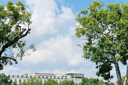 Hà Nội đầu tư hơn 22.000 tỷ đồng quy hoạch không gian hồ Hoàn Kiếm