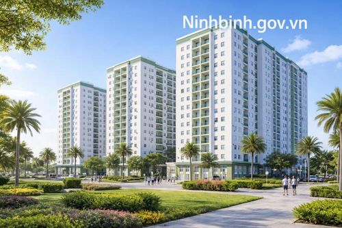 Ninh Bình đầu tư hơn 502 tỷ đồng xây chung cư cho thuê tại phường Nam Định
