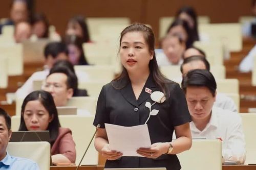 Hoàn thiện cơ chế bảo toàn tài sản, xác định rõ giới hạn giá trị thu hồi để tránh xử lý trùng lặp