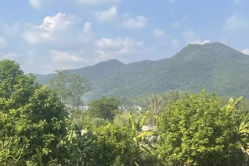 Ngày 29/10 sáng sớm có sương mù vài nơi, ngày giảm mây trời nắng