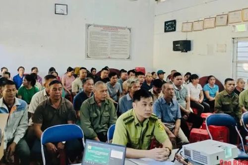 Xã Bạch Đằng định hướng phát triển kinh tế rừng, chuyển đổi cơ cấu cây trồng lâm nghiệp