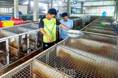 Đảng viên tiên phong