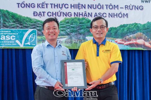 Tôm sú Cà Mau: Từ tán rừng ngập mặn vươn ra thế giới - Bài 2: Tự hào vùng tôm - rừng đạt chứng nhận quốc tế lớn nhất Việt Nam