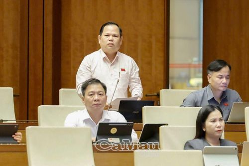 Đại biểu Quốc hội tỉnh Cà Mau góp ý hoàn thiện chính sách nhà ở