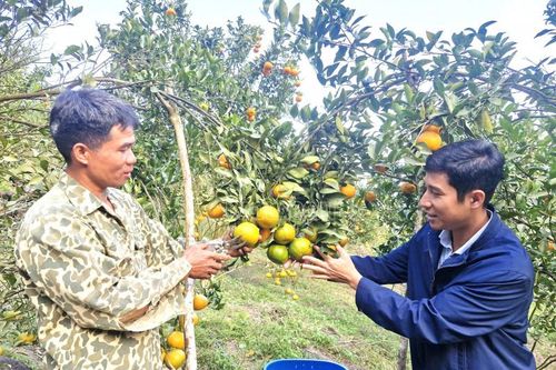 Bản Xèo vươn mình từ gian khó: Đánh thức di sản, khơi thông nguồn lực vùng biên
