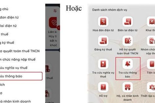 Hướng dẫn tra cứu thông tin tạm hoãn xuất cảnh do nợ thuế trên eTax Mobile