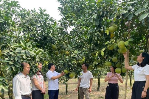 Lào Cai: Minh bạch nguồn gốc, mở rộng thị trường tiêu thụ nông sản