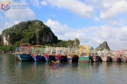 Quảng Ninh lập thêm 7 điểm kiểm soát tàu cá, tăng cường truy xuất nguồn gốc thủy sản.