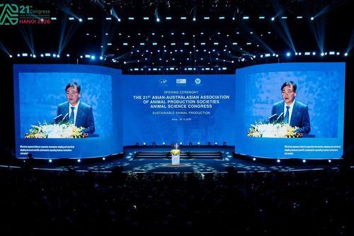Hội nghị Khoa học Chăn nuôi Á Úc 2026 bàn giải pháp phát triển chăn nuôi bền vững