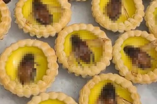 Món bánh tart trứng phủ cà cuống khiến dân mạng sợ hãi