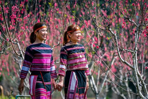Già làng Gia Lai làm 'cầu nối' tuyên truyền pháp luật về buôn làng