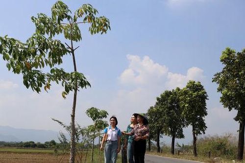 Kiều Phú tạo sức bật từ phong trào xây dựng nông thôn mới