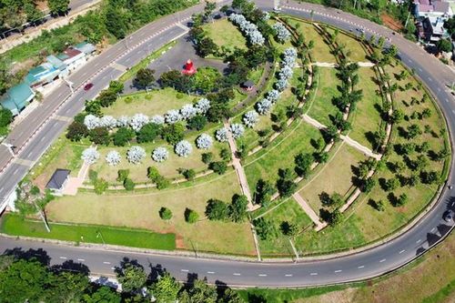 Truy tố vắng mặt Chủ tịch HĐQT Công ty Cây xanh Công Minh