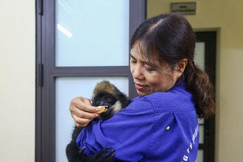 Nhịp sống thường ngày phía sau những chuồng nuôi ở công viên Thủ Lệ