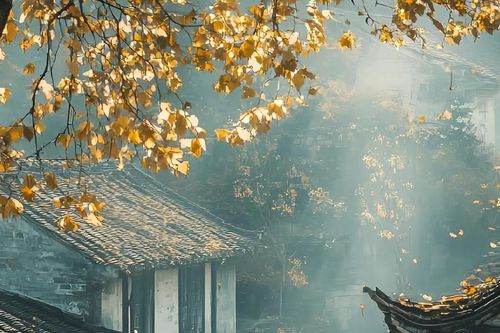 Tháng sinh Âm lịch của người khó bị lu mờ: Đi đến đâu cũng dễ trở thành tâm điểm