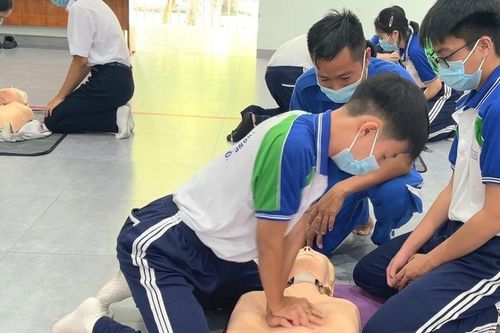Hàng trăm học sinh, giáo viên được huấn luyện kỹ năng hồi sinh tim phổi