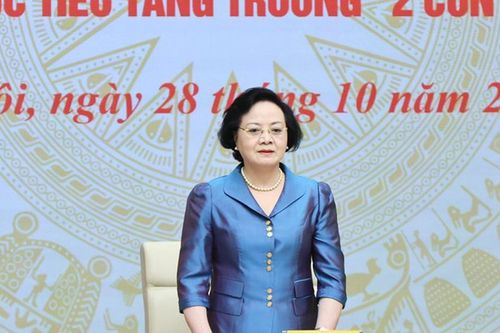 Phó Thủ tướng: Tập trung triển khai nhiệm vụ để xây dựng biên chế, cải cách tiền lương
