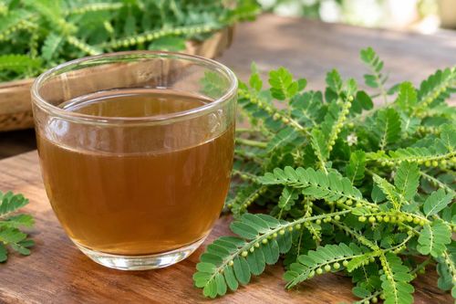 Nước sắc chó đẻ răng cưa có tác dụng gì?
