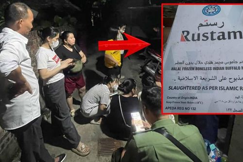 Kết quả kiểm tra bước đầu vụ nghi nhập thịt trâu Ấn Độ trong ăn bán trú