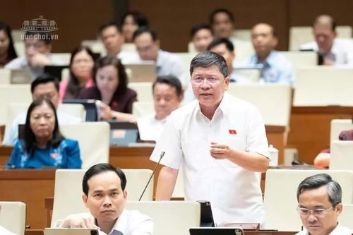 Mới: Đại biểu Quốc hội tranh luận về hạn mức diện tích, điều kiện tách thửa đất