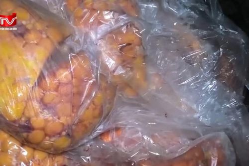Điều tra đường dây giả danh khách du lịch tuồn thực phẩm bẩn từ nước ngoài vào trong nước