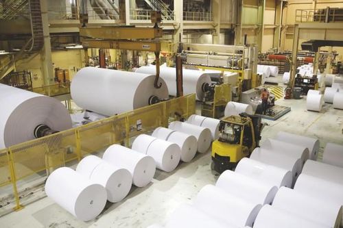 Ngành giấy tăng năng lực sản xuất, ổn định nguồn cung